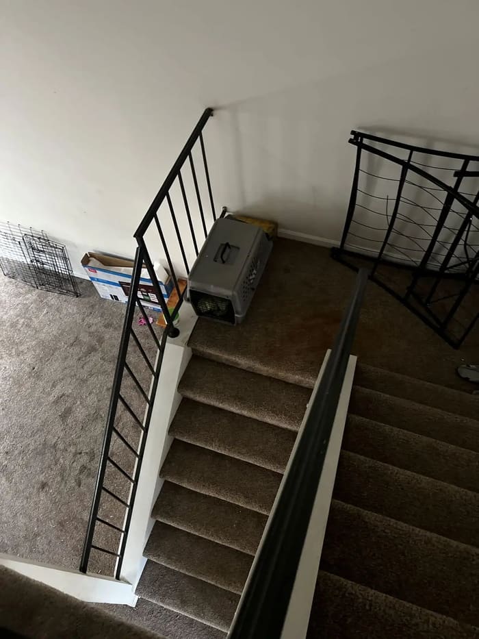 1305 Creekland — early demo stage