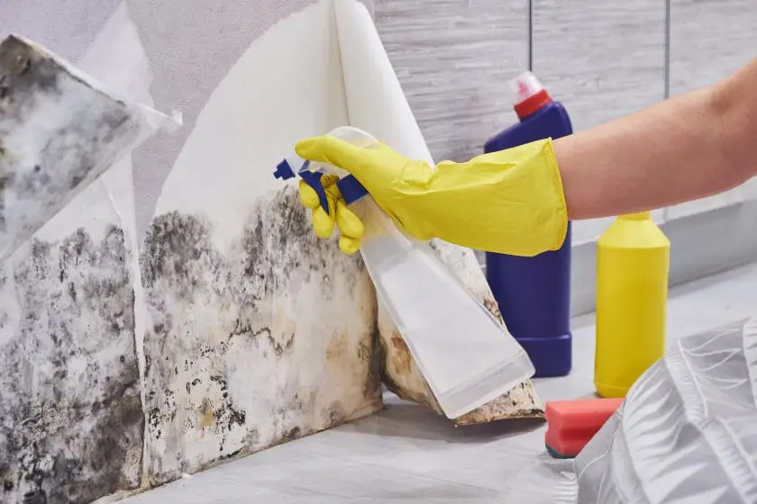 How Do I Remove Mold From Drywall?