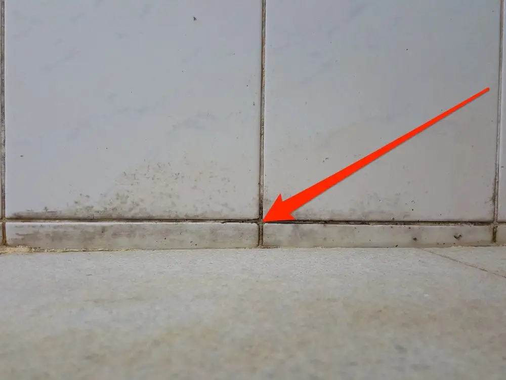 What Are The Signs Of Mold Growth In Drywall?