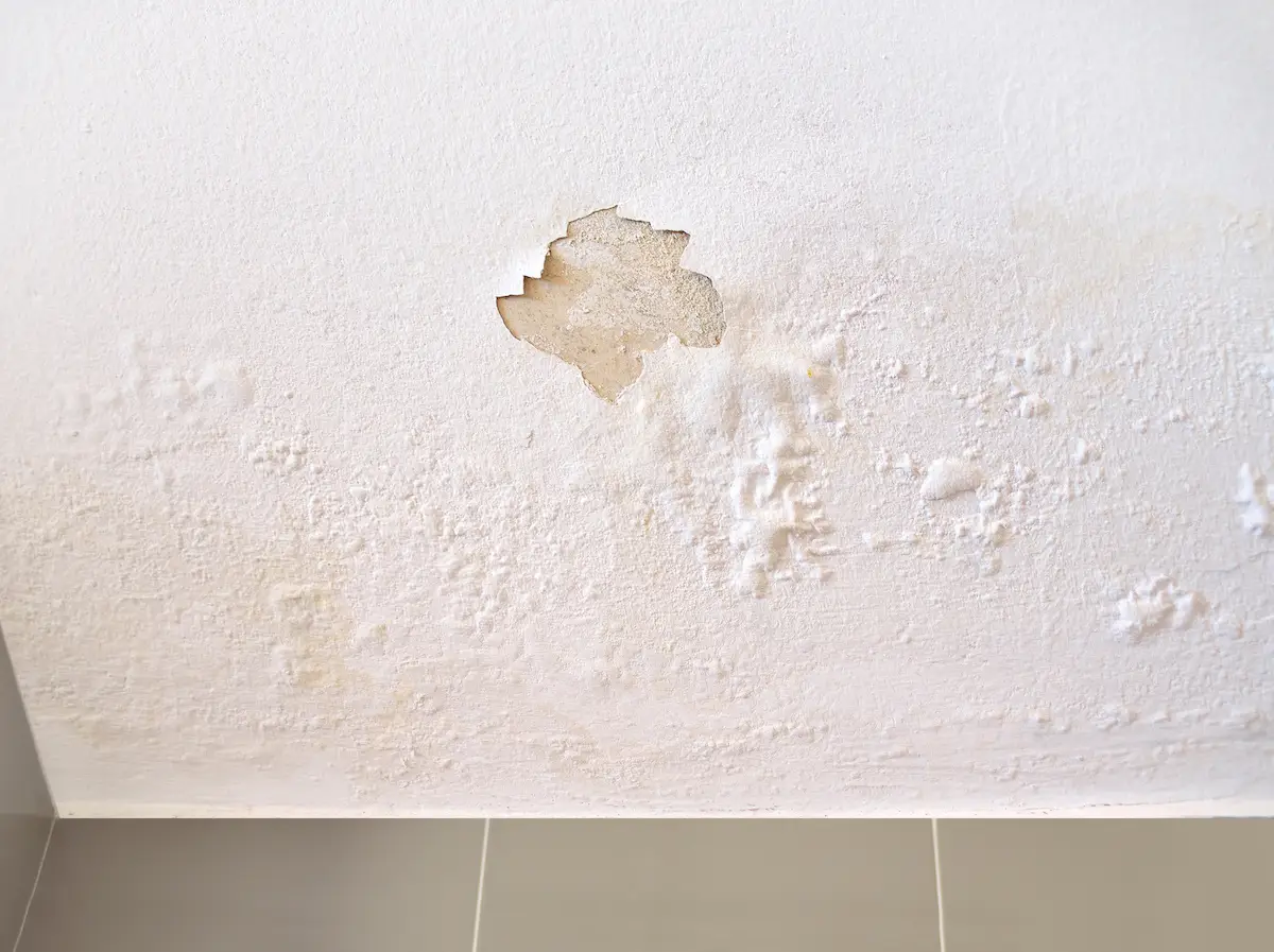 What Should I Do If My Drywall Is Water-damaged?