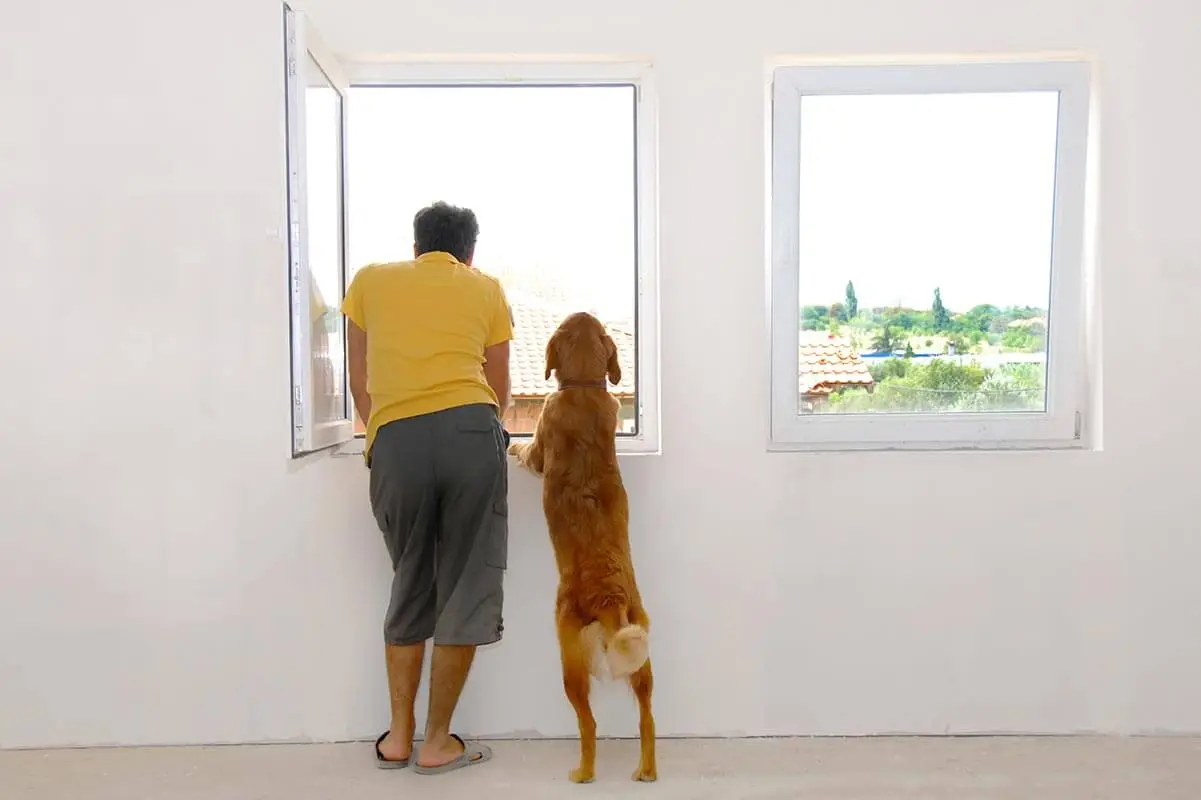Do I Need A Building Permit To Replace Windows