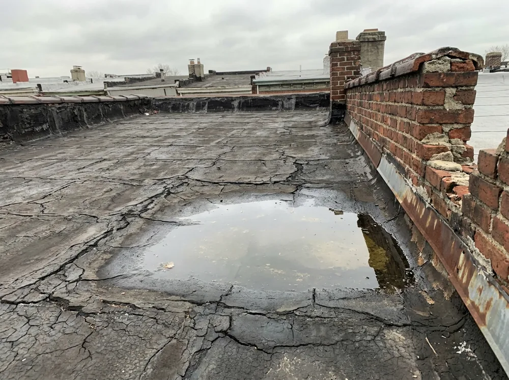 Deteriorating flat roof on a Baltimore rowhouse showing cracked alligatored asphalt, standing ponded water, and a crumbling brick parapet party wall