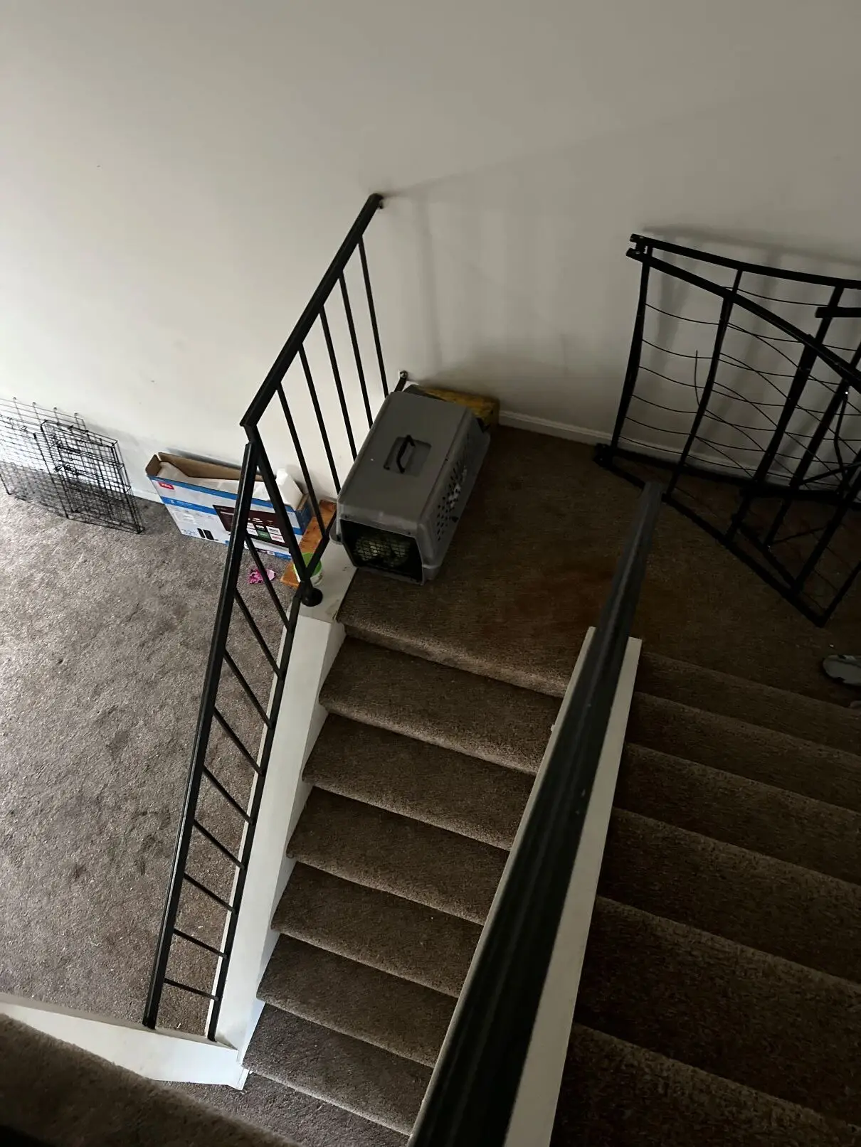 1305 Creekland — early demo stage