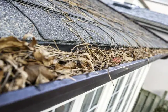 clogged-gutters_1645110855