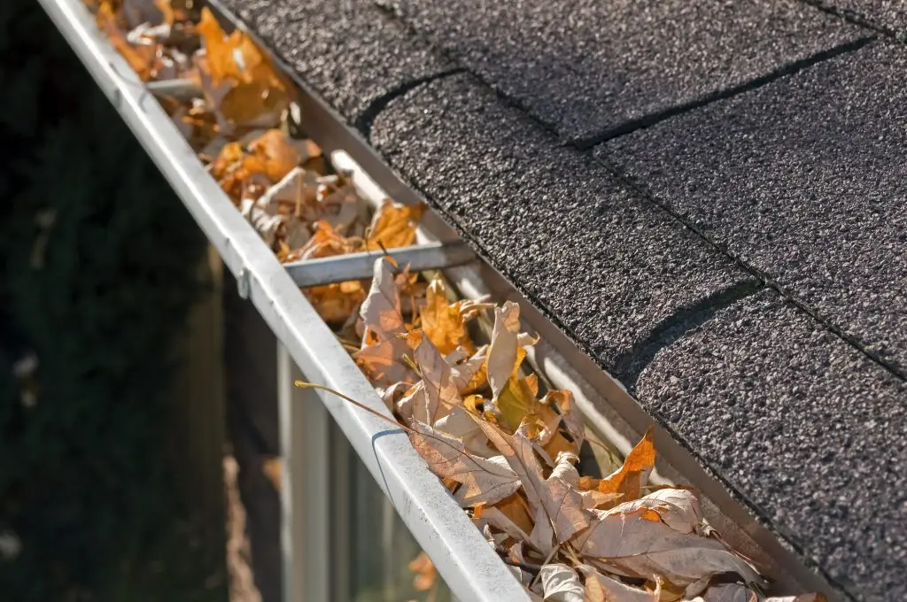 large-gutters-1024x680